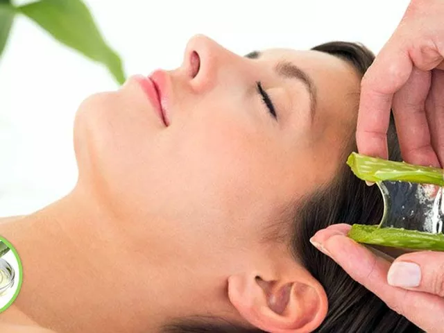 The Benefits of Aloe Vera for Scaly Overgrowths of Skin
