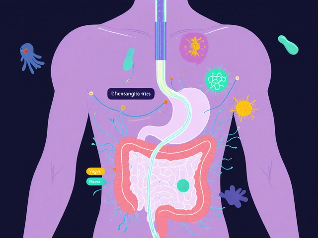 Irritable Bowel Syndrome: Understanding the Gut-Brain Axis for Real Symptom Relief