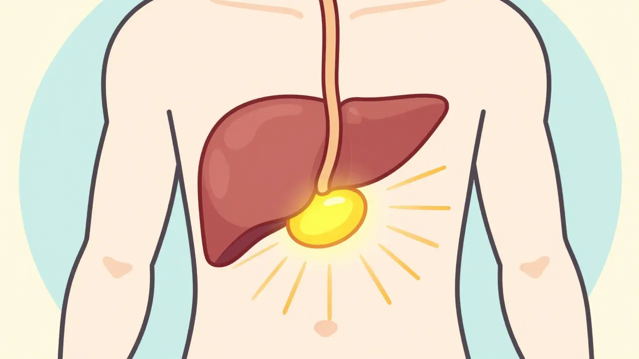 Gallstones Explained: Biliary Colic, Cholecystitis, and When Surgery Is Necessary